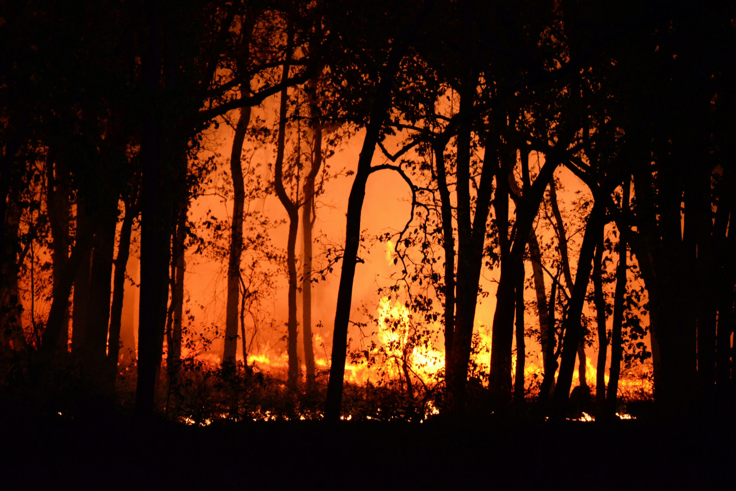 Bushfire-affected property, context photo
